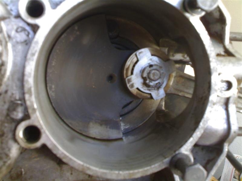 21062008367 (Medium).jpg