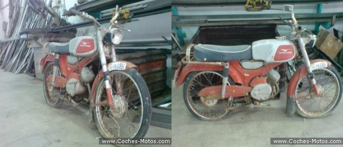 Dingo 75 cc.jpg