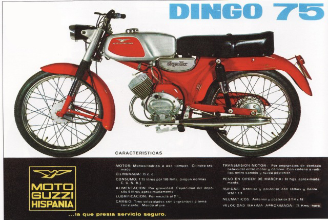 dingo75.jpg