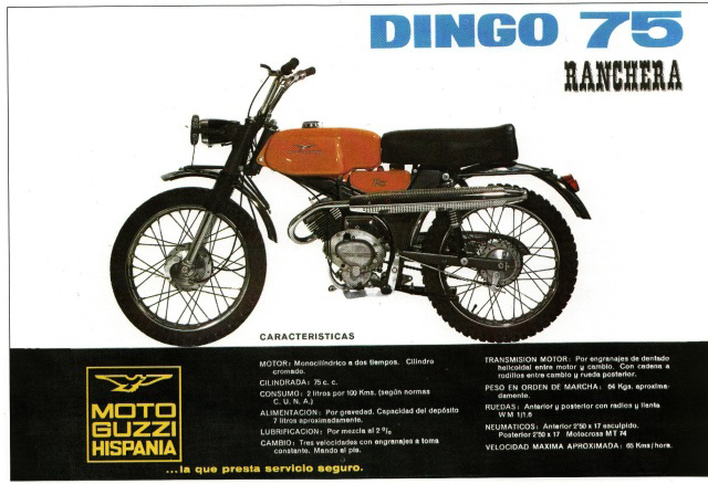 dingo75ranchera.jpg