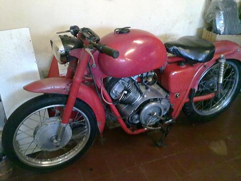 guzzi.JPG
